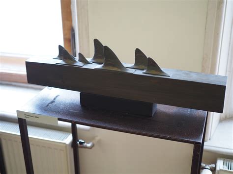 "Плавники", дерево, 2006