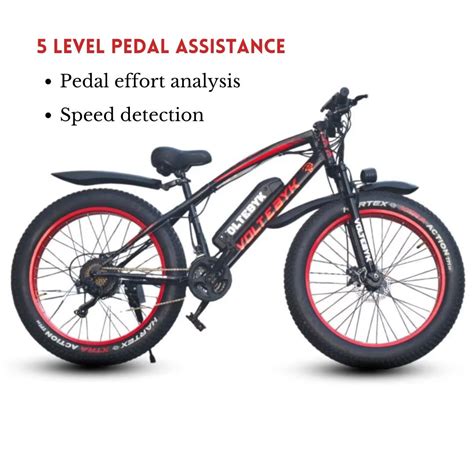 Voltebyk Runner Pro | Premium Electric Fat Bike 250W