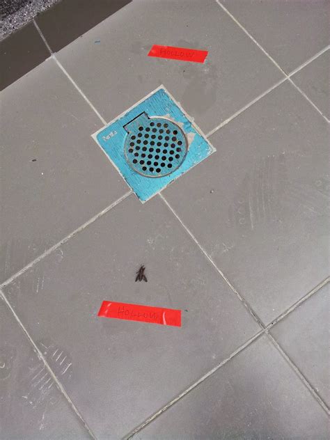 Tile Floor Sounds Hollow - Flooring Tips