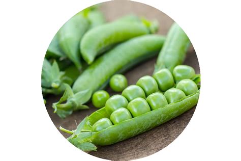 Best Hair Vitals Serum For Men and Women Online at Best Price in India ...