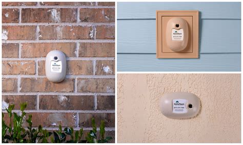 Taexx Pest Control Diy