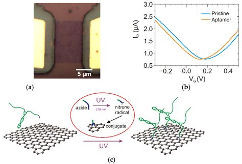 One-Step Photochemical Immobilization of Aptamer on Graphene for Label ...