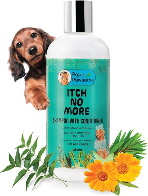 Buy Oh My Dog Odour Control Ultimate Dog Shampoo 1 LTR Online at Low ...