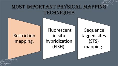 Circular Restriction Mapping 的图像结果