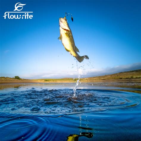 Image result for Flow-Rite Live Well Controls How to Use