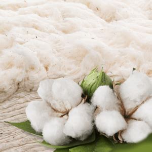 REVOLTEK Printed Underwear Panty Cotton Inner wear for Baby Summer wear ...