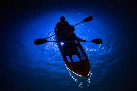 LED NIGHT KAYAK & SUP (2025) All You Need to Know BEFORE You Go (with ...