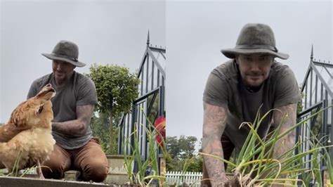 David Beckham shows off the results of his vegetable garden and people ...