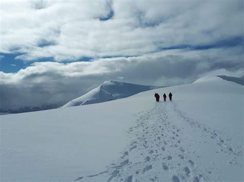 Job opportunities in Spitsbergen: Your guide to working in Svalbard ...
