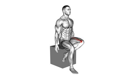Hip External Rotation Exercise: Video Guide & Tips