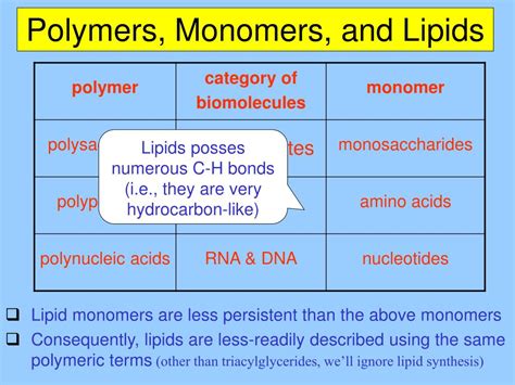 PPT - Chapter 5b: The Structure and Function of Macromolecules (Lipids ...