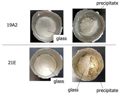 MoO3 Solubility and Chemical Durability of V2O5-Bearing Borosilicate Glass