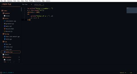 Image result for Sublime No User Input in Java