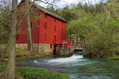 Image result for Alien Song Survive