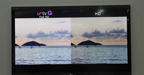 [체험기] LG유플러스, '풀HD' IPTV 써보니 - 조선비즈