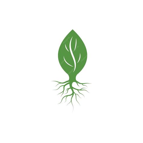 Tree roots vector icon illustration design | Premium Vector