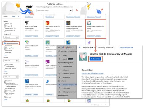 Python Google Earth 的图像结果