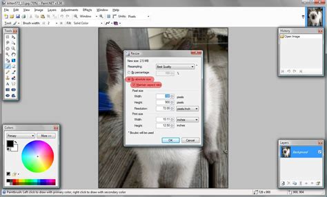Image result for What Is Paint.NET