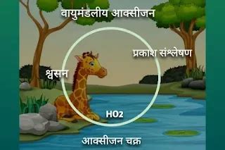 जैव भू रासायनिक चक्र क्या है - biogeochemical cycle in hindi - Rexgin