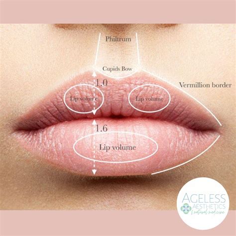 Lip Filler After Care | Ageless Aesthetics & Natural Medicine | Portland, OR