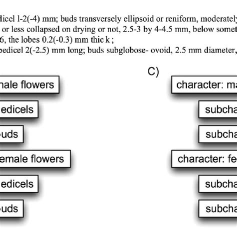 Image result for Examples of Alphanumeric Characters