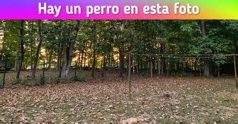 Tests divertidos que revelan aspectos sorprendentes de ti | Genial.guru