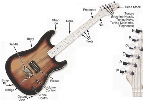 Acoustic Electric Guitar Parts Diagram | My Wiring DIagram
