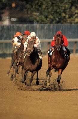Fifty years on from the "Race of the Century," the Woodward has an ...