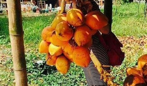 SISILA INN (Ambepussa) - Hotel Reviews & Photos - Tripadvisor