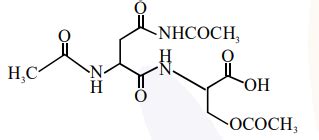 The correct structure of product 'P'