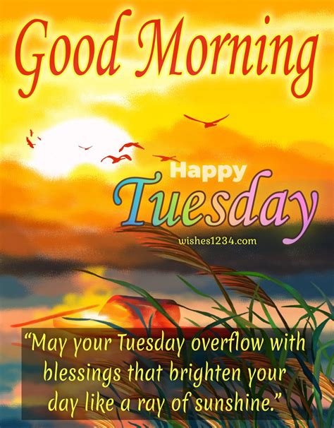 Good Morning Happy Tuesday Images 65+ Good Morning Tuesday Blessings