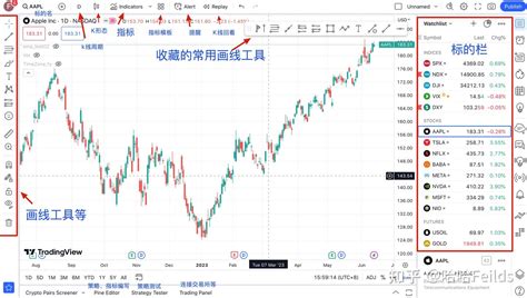 TradingView Scripting Basics 的图像结果