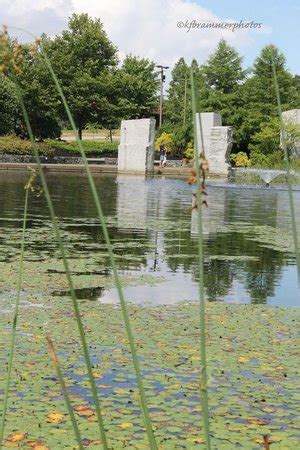 An Excellent Community Resource - Reviews, Photos - Green Hill Park ...