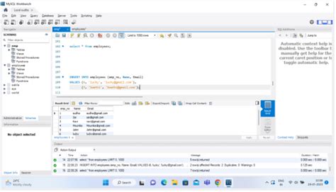 Insert Record SQL 的图像结果