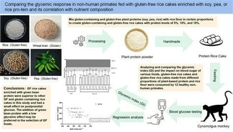 Glycemic Response in Nonhuman Primates Fed Gluten-Free Rice Cakes ...