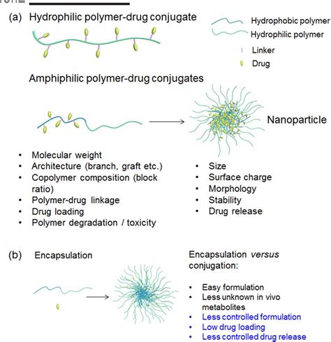 Figure 1 from Anticancer nanoparticulate polymer‐drug conjugate ...