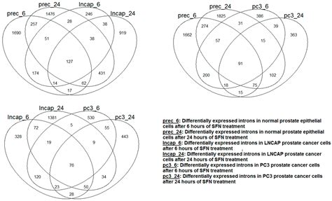 Effects of Antioxidants in Human Cancers: Differential Effects on Non ...