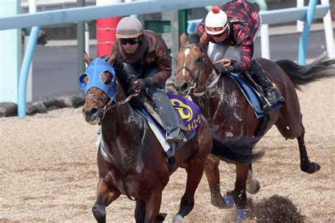 【皐月賞 私のチェックポイント】ブリンカー着用で2馬身先着タスティエーラ 馬具を試行錯誤する意図と効果は？ - サンスポZBAT!