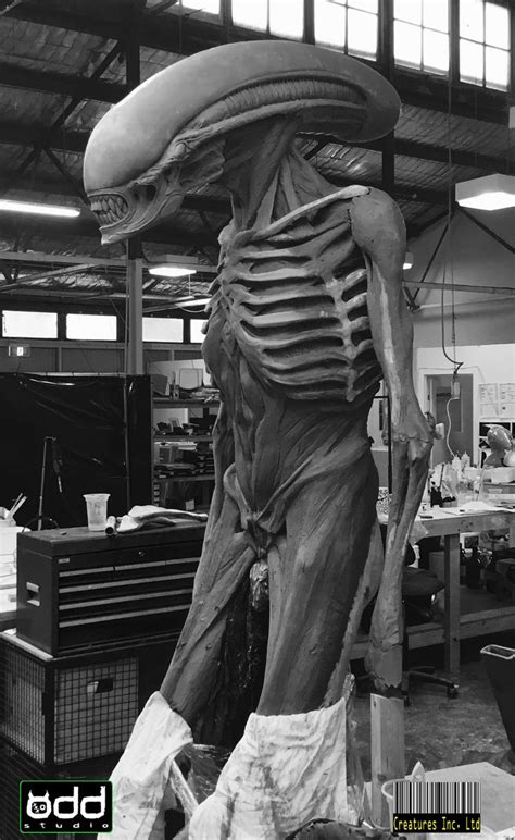 Image result for Alien Covenant Movie Creatures