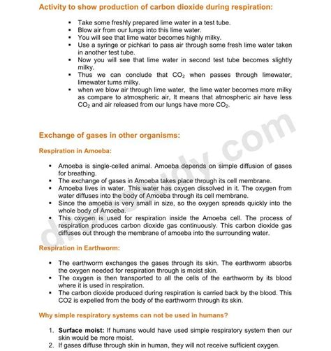 Dronstudy.com Class 10 的图像结果