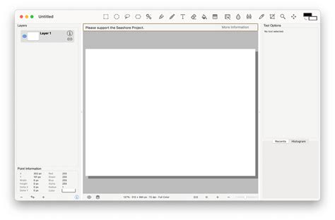 Paint for Mac - Top Equivalents and Apple Default Tools