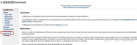 Lua Install 的图像结果