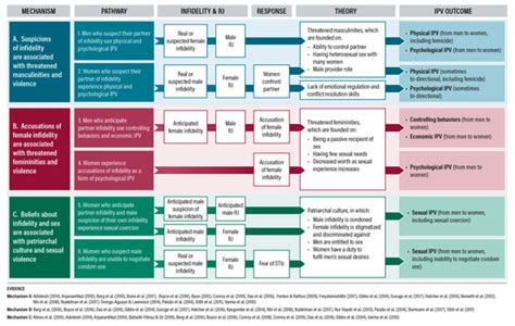 A Mixed-Methods Systematic Review: Infidelity, Romantic Jealousy and ...