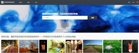 Online Pictu 的图像结果