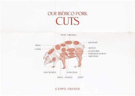 The Best Cuts of Ibérico Pork – Campo Grande