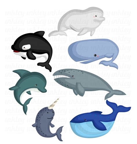 Whale Breeds Clipart Cute Whale Clip Art Fish and Sea | Etsy