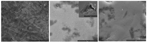 Calcium Phosphate Layers Deposited on Thermal Sensitive Polymer ...