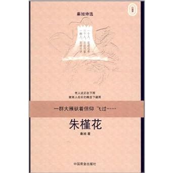 Hibiscus : Qin Xu: Amazon.in: Books
