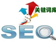 西藏seo企业网站优化 - 网页优化独立站SEO服务
