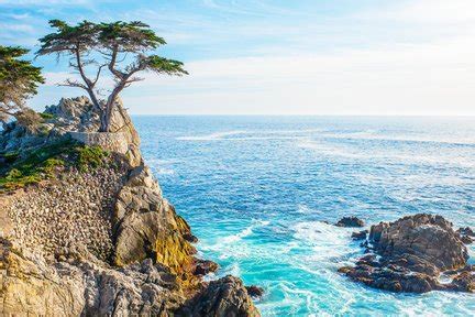 Monterey Bay Aquarium: Everything You Need Before Visiting